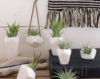 Collection of Faceted Porcelain Air Plant Holders -Plants Included-