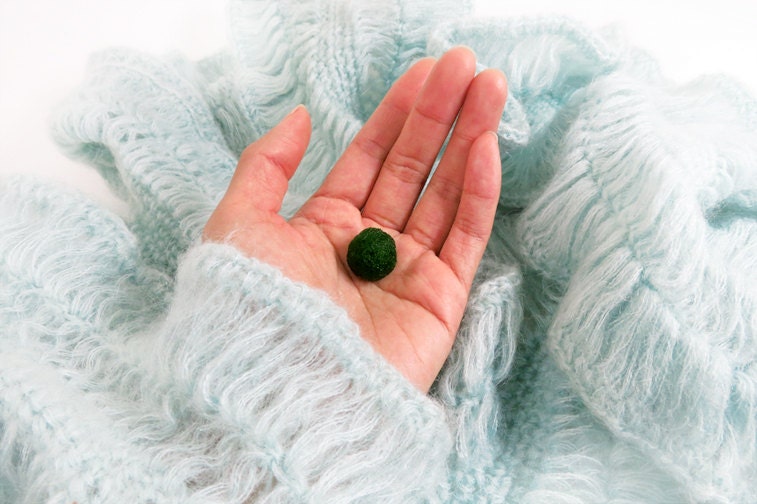 1 Baby Marimo For Your Own Aquarium Creation