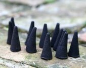 Blackberry Sage Charcoal Incense Cones 10 Pack - Handmade Aromatherapy Gift Under 5 Fruit Fruity Blackberries Meditation Zen Scented