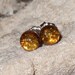 Baltic Amber 6mm Ear Studs Stud Earrings Earings Titanium Posts and Clutches Hypo Allergenic Made in Newfoundland Energy No Bugs