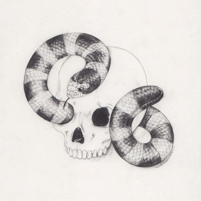 Original Drawing... Sea Snake and Skull