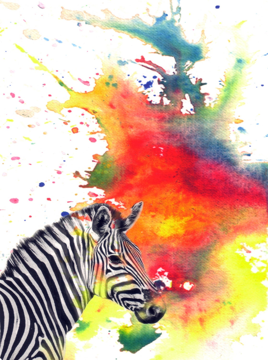 Zebra Watercolor Painting Fine Art Print 8 X 10 in Great Children Kids Nursery Decor Art and Every Animal Lover