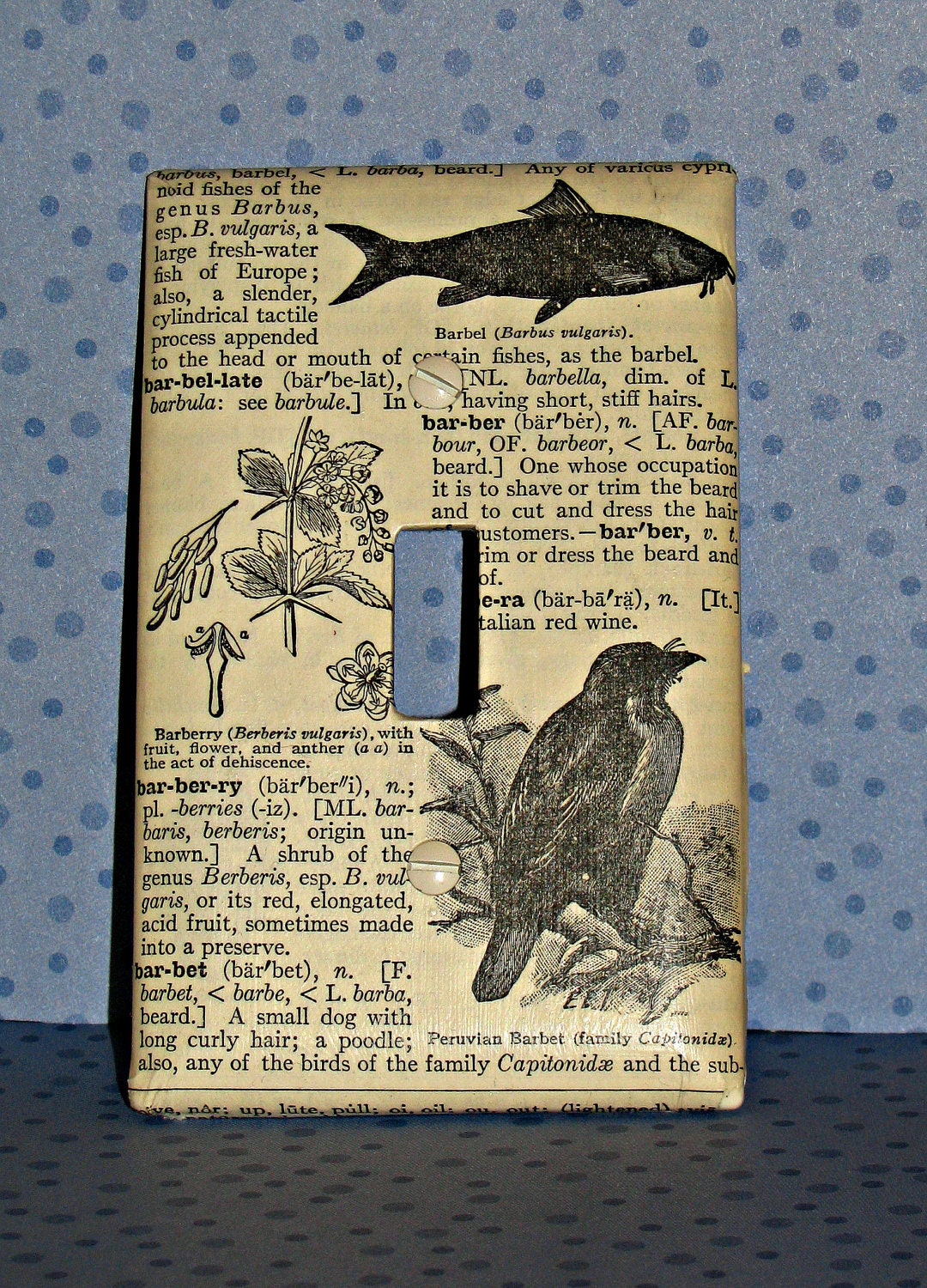 Nature Inspired antique dictionary page made into a light switch cover