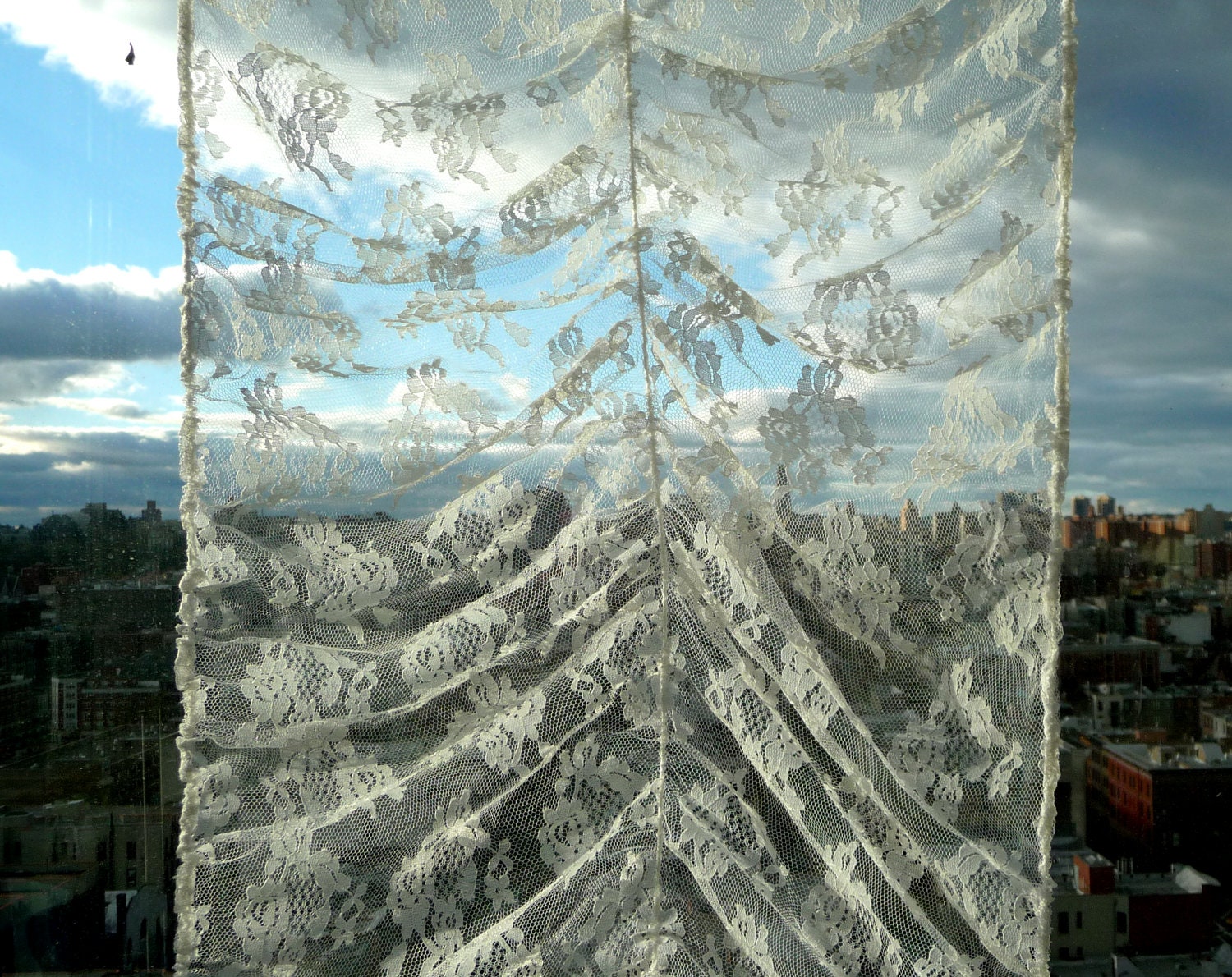 TREASURY ITEM - White - Lace - Panel - Curtain -Sheer - French Door - Floral - Rose - France - Shabby Chic - Cottage - Victorian