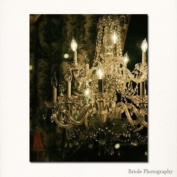 New Orleans Photograph. French Quarter Antique Chandelier 8"x10". New Orleans Art. Mardi Gras