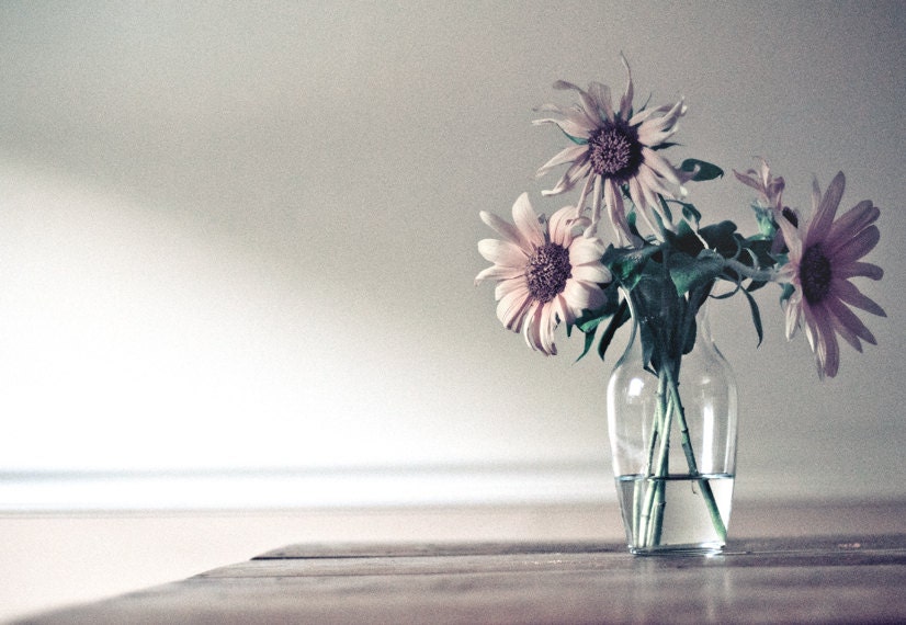 Sunflower yellow Photograph green summer sunny petals sunshine aged vase bouquet shabby chic cottage The sun going down 8x11fine art photo