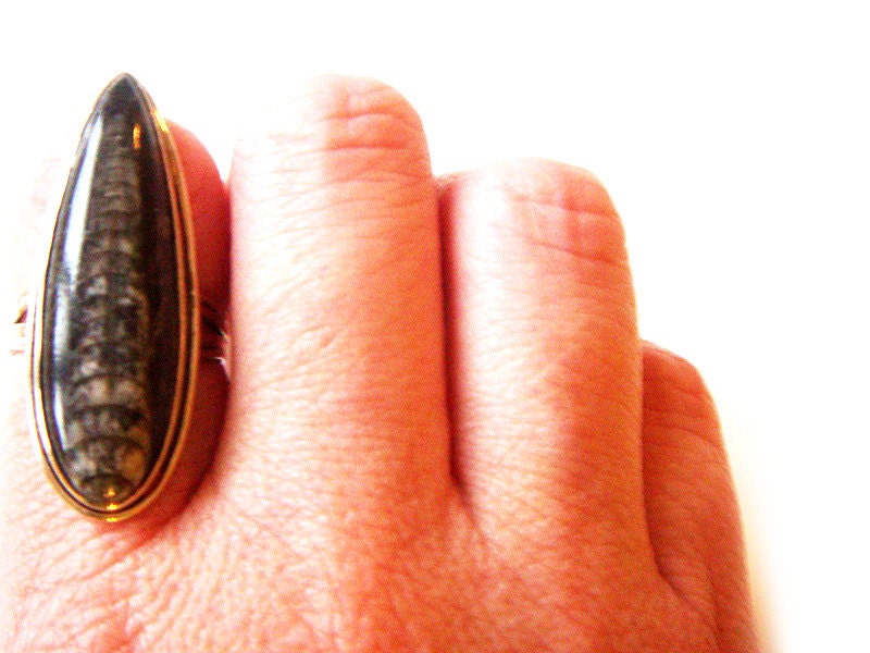 Prehistoric Fossil Ring