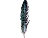 Blue Jay Feather Painting - Original Watercolor Painting- Feather Study 440