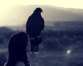 The Falconer With her Black Gyr Falcon, Evening Sun, Hunter Falconry, Vintage Bird of Prey Square Photo