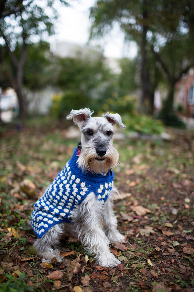 MEDIUM Wool Dog Sweater
