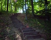 Stairs to Sherwood Lake 8x10 Print Only