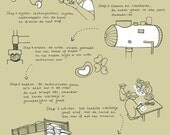 Cycle of the cashew nut (storyline is in Dutch)