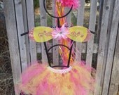 Children's Pink and Yellow Fairy Butterfly Tutu Wing Crown Package