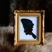 Gold Framed Shimmering Colorful Butterfly Wing