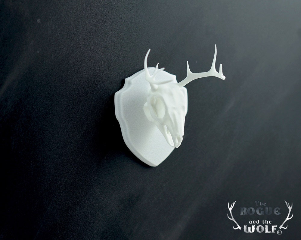 Jackalope Faux Taxidermy, Jackalope skull,cool home decor,mythical fantasy animal,wall home decor, wall plaque, animal sculpture