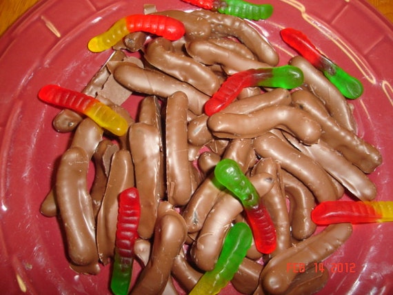 Chocolate Covered Worms