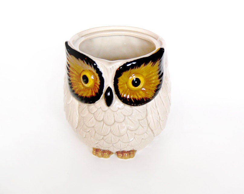 Owl Decor / Owl Kitchen / Owl Crock / Owl Cup / 80s - MinxouriVintage