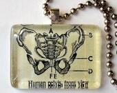 Human Pelvis Vintage Graphic Pendant