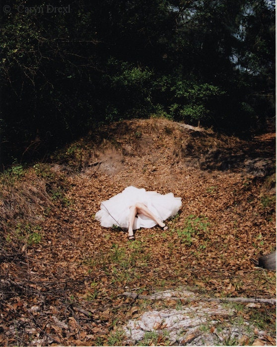 She Fell - FREE SHIPPING Print Fallen Girl White Tulle Skirt Brown Green Nature Wood Hole Surreal Weird Big Leaves Legs Photo Art