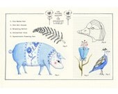 The Natural History of the Imaginary World 003