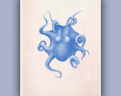 Octopus Print 4, 11X14 Print, Vintage octopus image print, Marine Wall Decor, Nautical art, Large size  Print, Coastal Living