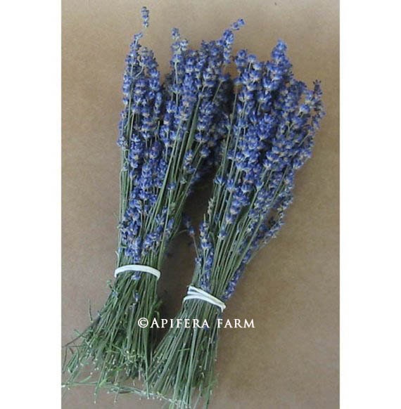 2 Dark Purple Lavender Dried Bundles