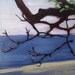 Lake view oil on panel