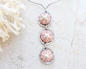 Sea Urchin Necklace Three Pink Urchins in a Row Necklace