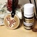 Sage and Cedar Scented Archaeopteryx Ceramic Necklace with Sage and Cedar Essential Oil blend in small size
