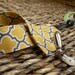 FREE SHIPPING When purchased with A Wrap Or Nursing Cover-Pacifier Holder Binky Clip-Lattice-Gray