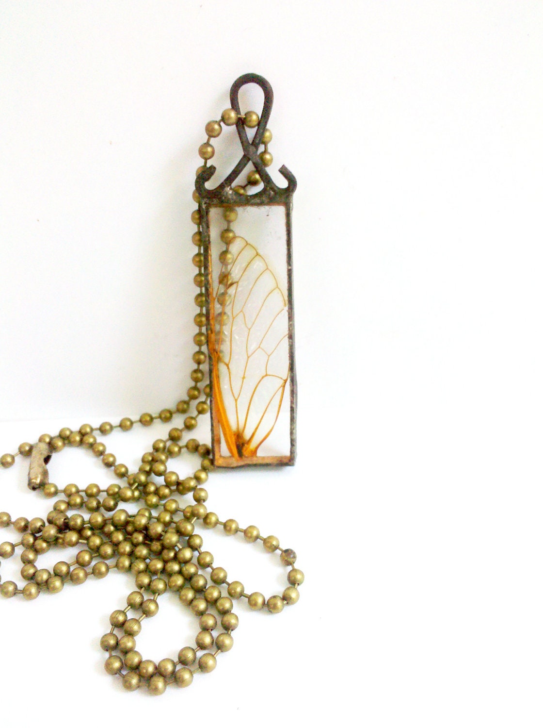 Fairy Wing Glass Specimen Locust Wing Pendant Necklace