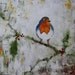 Bird painting 122 bird Robin 20x20 inch original portrait oil painting by Roz