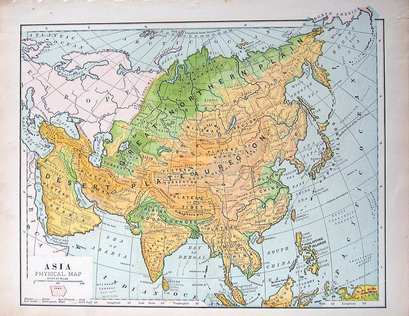 Physical Asia Map
