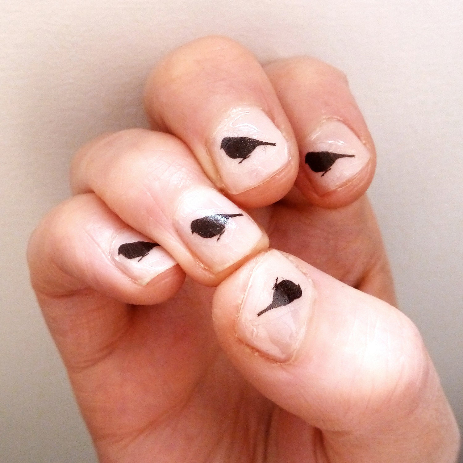 sparrow nail transfers