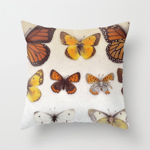 Pillow Cover, Photo Pillow, Butterfly Specimen,  Home Decor,  Living Room, Bedroom, Yellow Orange White 16x16, 18x18, 20x20