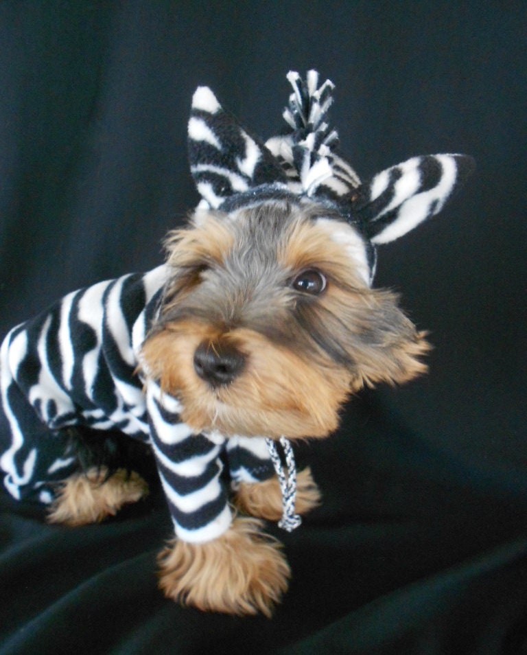 Zebra Dog Jungle Jammies Custom Made Pet Costume size XS-yorkie, maltese, chihuahua, teacup dog