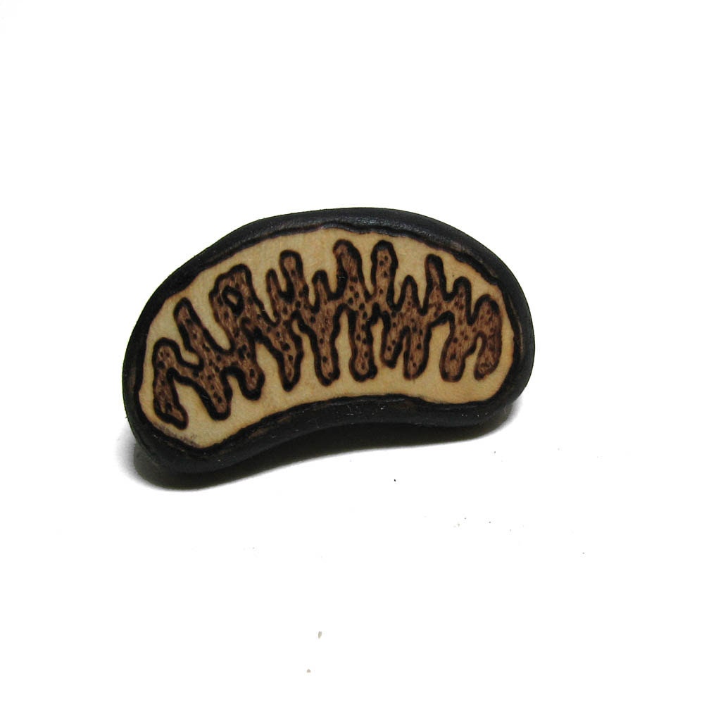 Fine Art Mitochondrion Brooch - Pin Pyrography Wood Carving by Tanja Sova