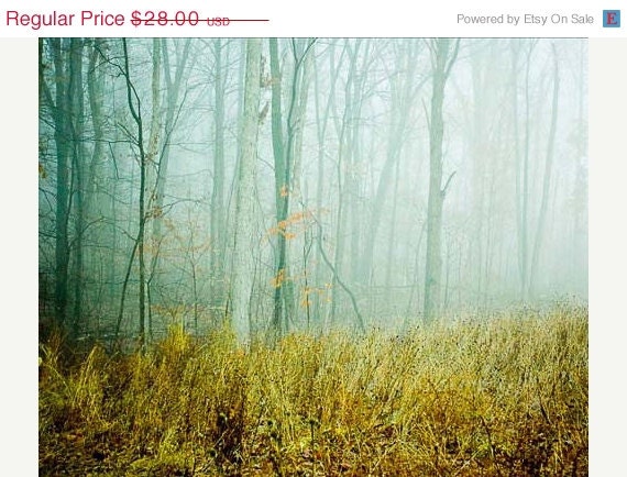 4th of July Sale Spring .fog landscape photography . dreamy woodland home decor . nature photography . living room wall art . french countr