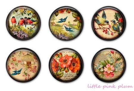 Six Magnets with Organza Bag - VINTAGE BIRDS and FLOWERS - 1.25 inches