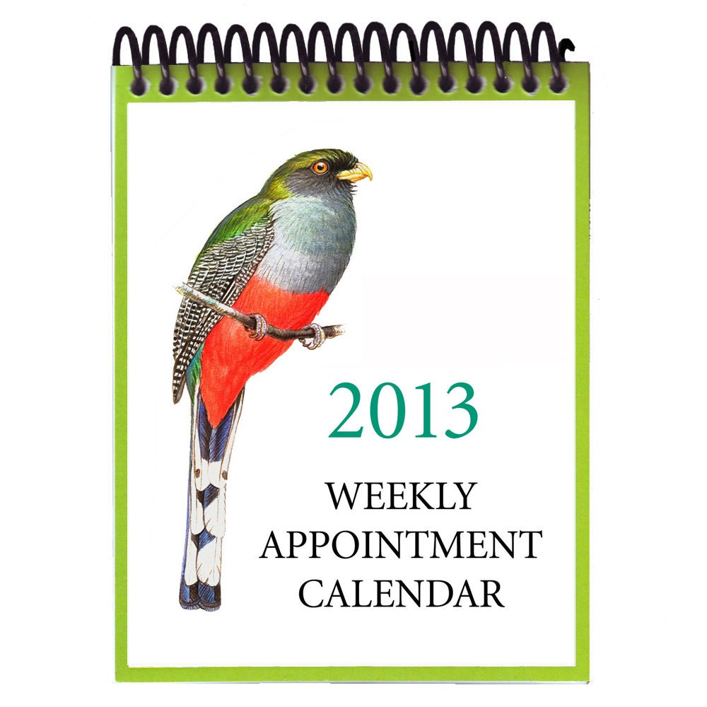 SALE PRICE--2013 Weekly Calendar--Original Bird Art
