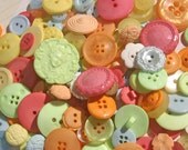 Buttons Green Orange Blue Pink Yellow Buttons Assorted Round - Sewing Embellishments - Circus