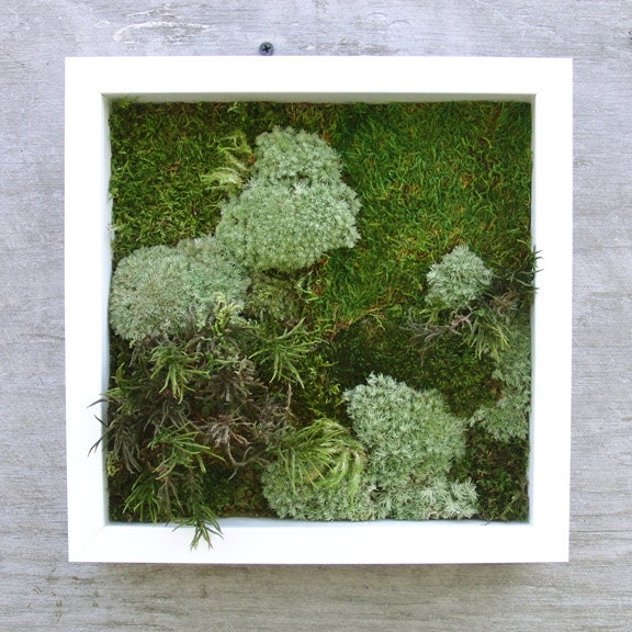 Moss wall decor, Taiga