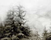 Winter Photography, Landscape, Snow, Trees, Black and White, fits a Standard 8x10 Frame