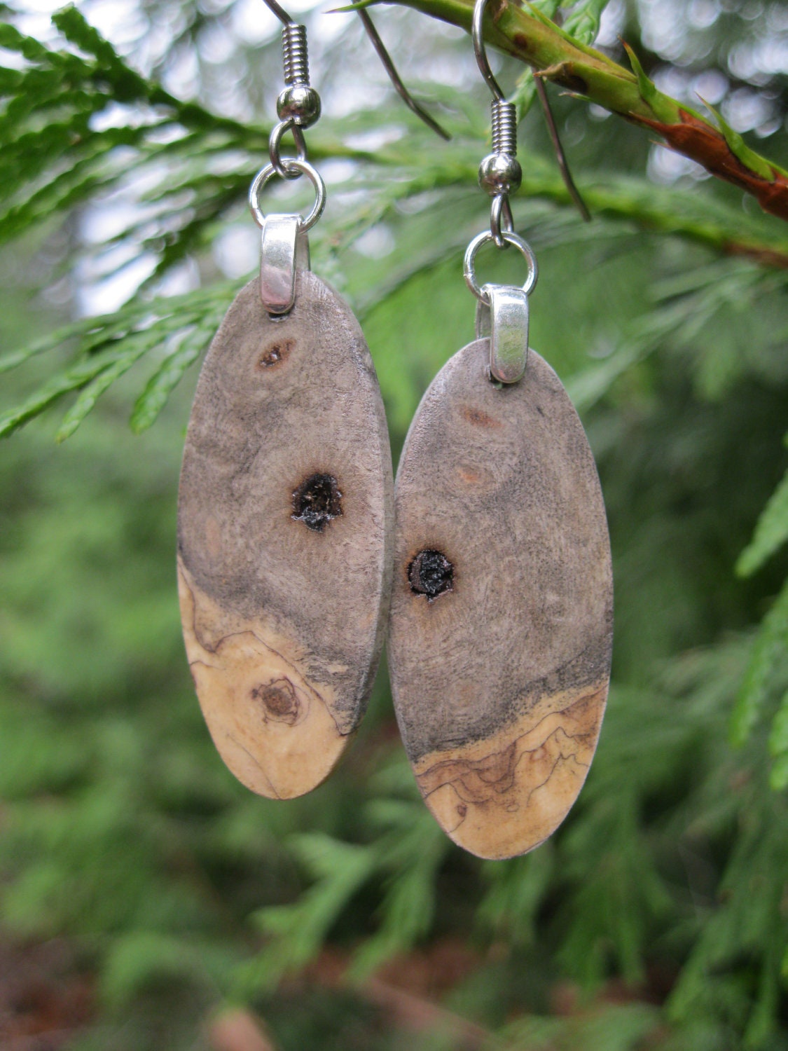 Small Slim Little Grey Lightweight Buckey Burl Wood Earrings
