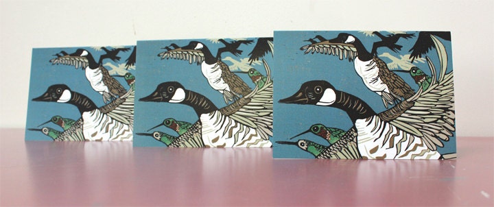 3 pack of Hummingbird greeting cards