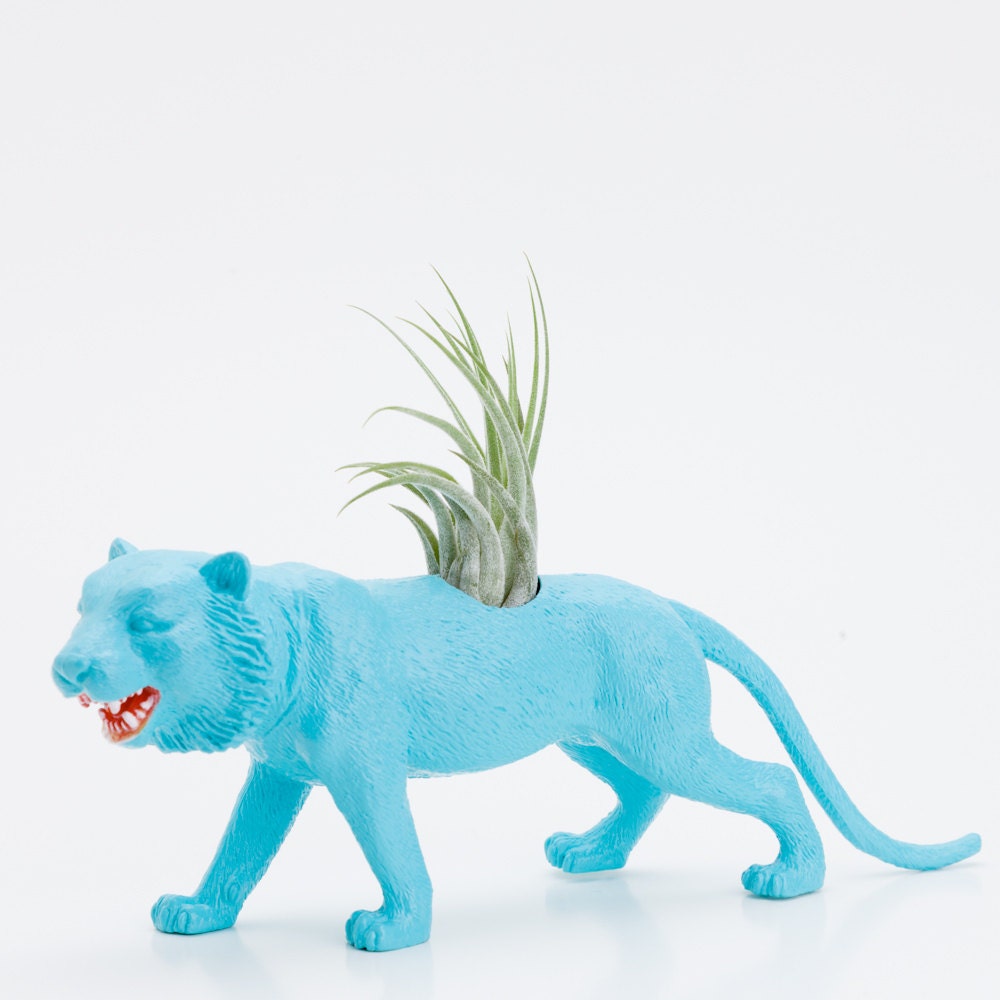 Animal Planter with Air Plant , Tiger Room Decor, College Dorm Ornment