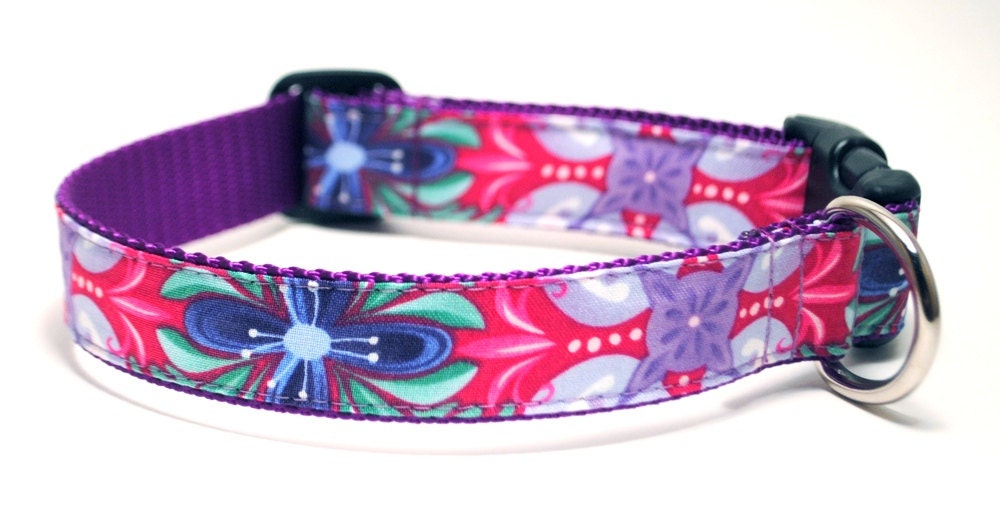 Lola in Purple - Custom Dog Collar