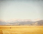 Landscape Photograph - Fall in the Mountains - Colorado Rockies ranch farm nature golden yellow blue rustic brown cow grey
