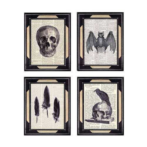 GOTHIC COLLECTION dictionary print on dictionary book page, anatomical skull, black crow feather, vampire bat Dracula Halloween 8x10