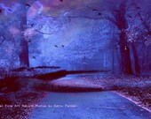 Nature Photography, Surreal Haunting Blue Woodlands, Birds, Trees, Blue Purple Pink Fine Art Nature Photograph 6" x 9"